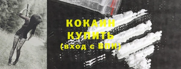 хмурый Абаза