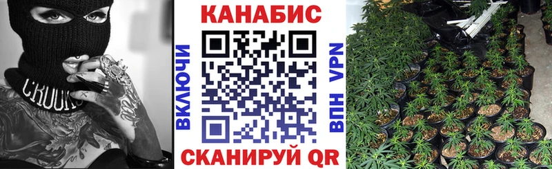 Каннабис гибрид купить наркотик Октябрьский